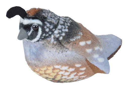 Quail Stuffed Animal 5.5"